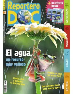 Revista Reportero Doc